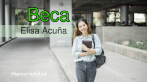 Conoce todo de las becas Elisa Acuña