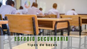 ¿Qué tipos de becas hay para secundaria?