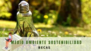 Beca de sostenibilidad y medio ambiente