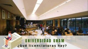 Universidad UNAM ¿Que licenciaturas hay?